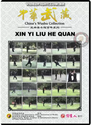 XIN YI LIU HE QUAN
