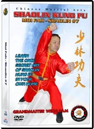KWONG WING LAM - MOI FAH KUEN CHINESE TRADITIONAL SHAOLIN KUNG FU