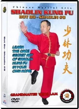 KWONG WING LAM - BOT BO KUEN CHINESE TRADITIONAL SHAOLIN KUNG FU