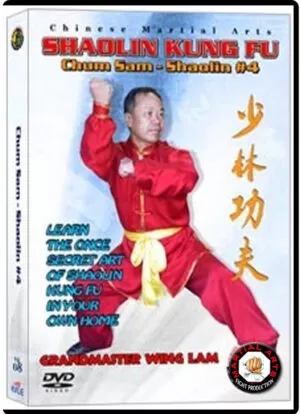 KWONG WING LAM - HUM SAM (STRIKE TO THE HEART) KUEN CHINESE TRADITIONAL SHAOLIN KUNG FU