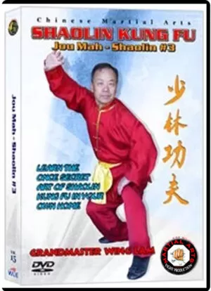 KWONG WING LAM - JOU MAH - SHAOLIN #3 CHINESE TRADITIONAL SHAOLIN KUNG FU