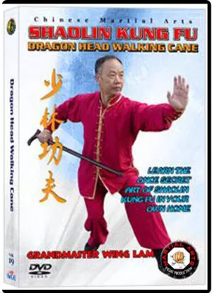 KWONG WING LAM - DRAGON HEAD WALKING CANE CHINESE TRADITIONAL SHAOLIN KUNG FU