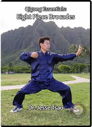 DR. JESSE TSAO - QIGONG ESSENTIALS 8 PIECE BROCADES