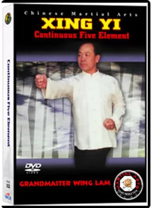 KWONG WING LAM – CONTINUOS FIVE ELEMENTS FIST