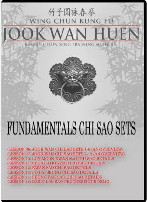 TYLER REA - WING CHUN JOOK WAN HEUN SYSTEM - FOUNDATIONS 02 - CHI SAO SETS