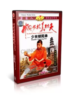 SHI DECI - THE REAL CHINESE TRADITIONAL SHAOLIN KUNG FU #08