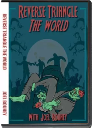 JOEL BOUHEY - REVERSE TRIANGLE THE WORLD