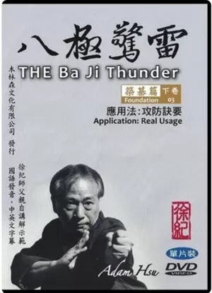 ADAM HSU - BAJI THUNDER - FOUNDATION 03
