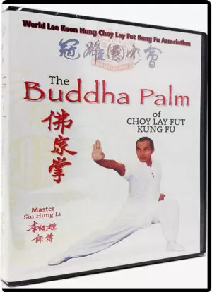 LEE KOON HUNG - BUDDHA PALM FORM OF CHOY LAY FUT