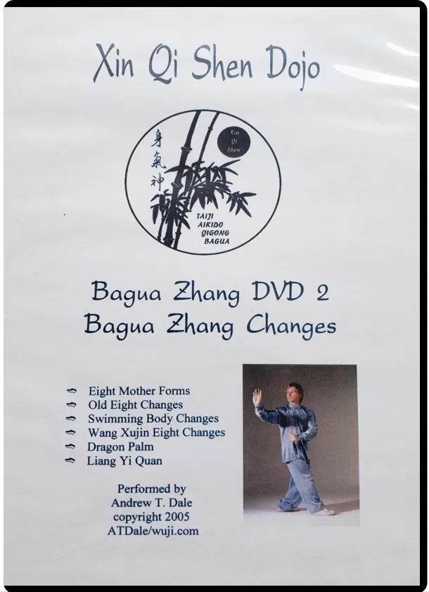 ANDREW T. DALE - XIN QI SHEN DOJO - BAGUA ZHANG #02