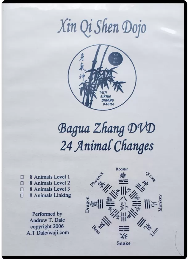 ANDREW T. DALE - XIN QI SHEN DOJO - BAGUA ZHANG #05