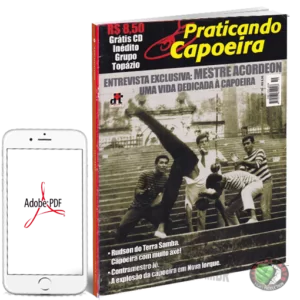 REVISTA PRATICANDO CAPOEIRA #19 EM PDF