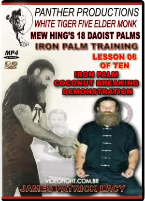 JAMES LACY - IRON PALM TRAINING SERIES #06