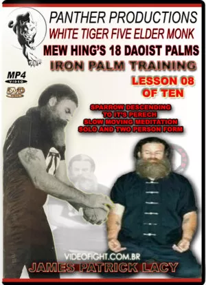 JAMES LACY - IRON PALM TRAINING SERIES #08