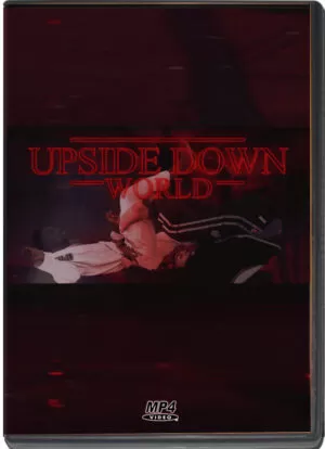 VICTOR HUGO - UPSIDE DOWN WORLD