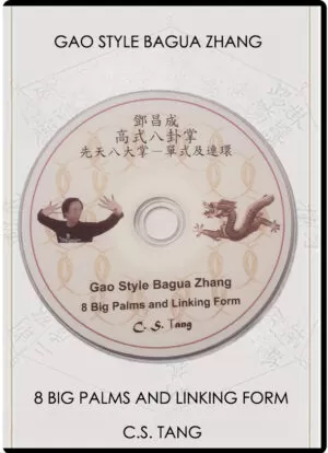 MASTER C.S. TANG - GAO BAGUA - 8 BIG PALMS AND LINKING FORM