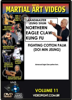 SIFU LEUNG SHUM - EAGLE CLAW KUNG FU #11