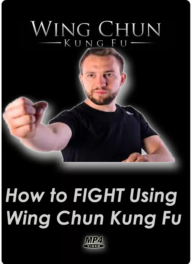 ROSU IONUT BOGDAN - HOW TO FIGHT USING WING CHUN KUNG FU