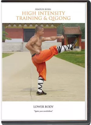 SHIFU YAN LEI - SHAOLIN BURN - HIGH INTENSITY TRAINING AND QIGONG - LOWER BODY
