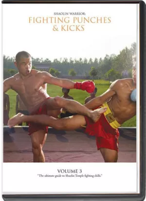 SHIFU YAN LEI - SHAOLIN WARRIOR - FIGHTING PUNCHES AND KICKS VOL.03