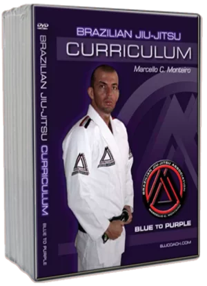 MARCELLO MONTEIRO - BRAZILIAN JIU JITSU - BLUE TO PURPLE CURRICULUM