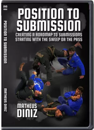 MATHEUS DINIZ - POSITION TO SUBMISSION