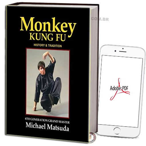 MICHAEL MATSUDA - MONKEY KUNG FU PDF