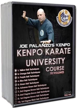 JOE PALANZO'S - KENPO KARATE UNIVERSITY SERIES
