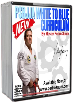 PEDRO SAUER - OFFICIAL CURRICULUM - WHITE TO BLUE (NEW VERSION)