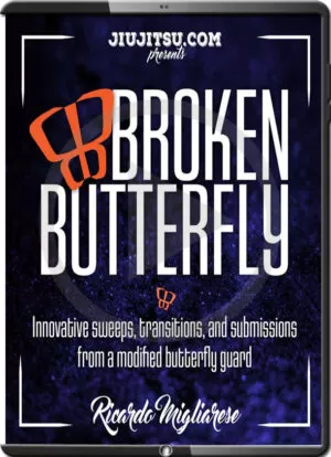 RICARDO MIGLIARESE - BROKEN BUTTERFLY