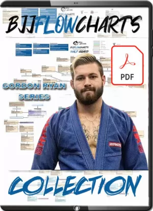 GORDON RYAN - FLOWCHARTS  COLLECTION PDF