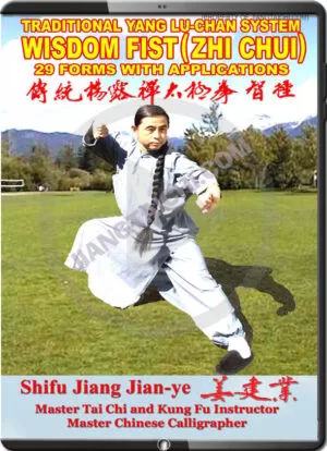 JIANG JIAN YE - WISDOM FIST (ZHI CHUI) 29 FORMS WITH APPLICATIONS