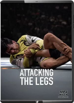 DIEGO PATO - ATTACKING THE LEGS