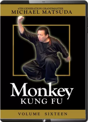 MICHAEL MATSUDA - MONKEY KUNG FU - VOLUME 16